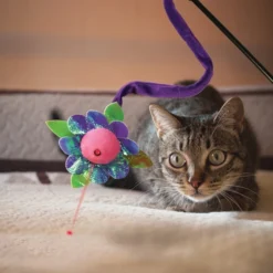 KONG Laser Teaser Cat Toy -KONG Toys Shop 143207 PT2. SY630 V1631762885