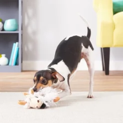 KONG Trekkers Dog Toy -KONG Toys Shop 151195 PT2. SY630 V1605332515