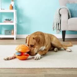 KONG Toys Shop -KONG Toys Shop 154024 PT1. SY630 V1554128026