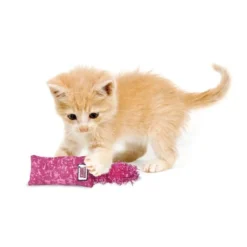 KONG Kickeroo Kitten Toy, Color Varies -KONG Toys Shop 154026 PT2. SY630 V1539711429