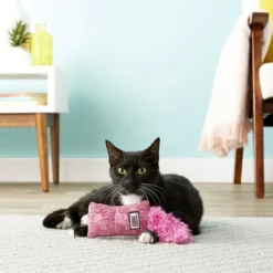 KONG Kickeroo Kitten Toy, Color Varies -KONG Toys Shop 154026 PT3. SY630 V1605343918