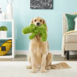 KONG Cozie Ali the Alligator Dog Toy 9 KONG Cozie Ali the Alligator Dog Toy -KONG Toys Shop 160733 PT2. SY630 V1563225482