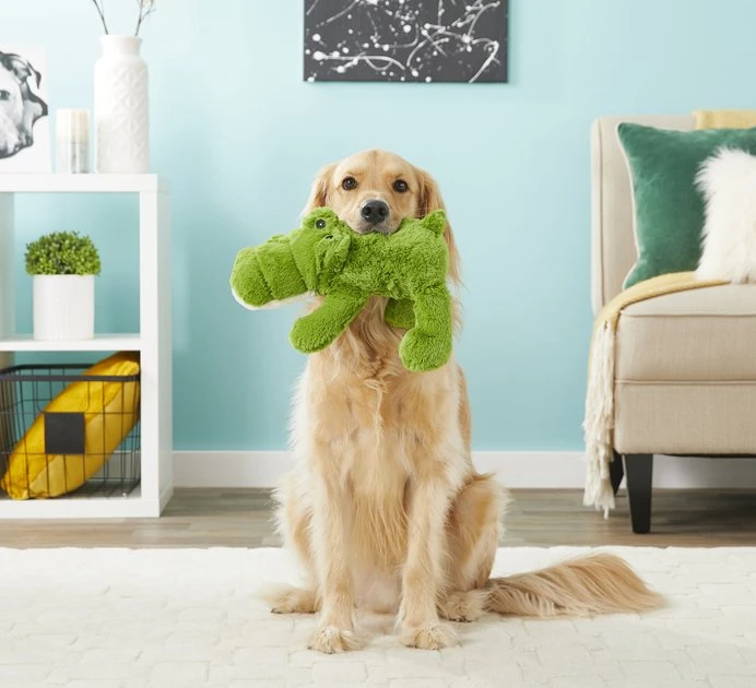 KONG Cozie Ali the Alligator Dog Toy 5 KONG Cozie Ali the Alligator Dog Toy - Image 3