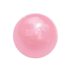 KONG Stuffable Puppy Ball Dog Toy, Color Varies