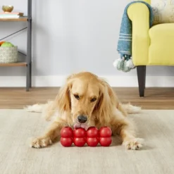 KONG Goodie Ribbon Dog Toy -KONG Toys Shop 161865 PT3. SY630 V1605316635