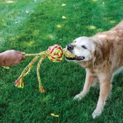 KONG Wubba Weaves with Rope Dog Toy, Color Varies -KONG Toys Shop 161873 PT2. SY630 V1552941190