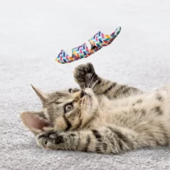 KONG Cat Active Curlz Cat Toy, Color Varies, 2 count -KONG Toys Shop 209636 PT2. SY630 V1631775712