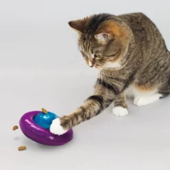 KONG Infused Cat Gyro Cat Toy -KONG Toys Shop 219716 PT2. SY630 V1631773111