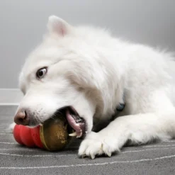 KONG Marathon Chicken Recipe Grain-Free Dog Chew Large Treats -KONG Toys Shop 228678 PT2. SY630 V1601008875