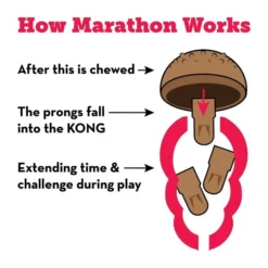 KONG Marathon Peanut Butter Recipe Grain-Free Dog Chew Small Treats -KONG Toys Shop 228688 PT5. SY630 V1600997173