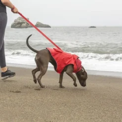 KONG Packable Dog Raincoat -KONG Toys Shop 229408 PT5. SY630 V1599832267