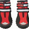 KONG Sport Dog Bootie -KONG Toys Shop 229446 MAIN. SY630 V1598573772
