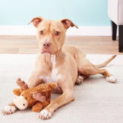 KONG Cozie Marvin the Moose Plush Dog Toy, Medium & KONG Cozie Baily the Blue Dog Toy 9 KONG Cozie Marvin the Moose Plush Dog Toy, Medium & KONG Cozie Baily the Blue Dog Toy -KONG Toys Shop 255671 PT2. SY630 V1602702076