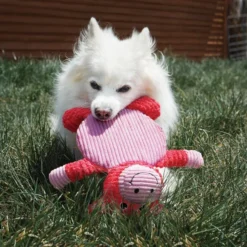 KONG Low Stuff Crackle Tummiez Frog Squeaky Plush Dog Toy, Large -KONG Toys Shop 262955 PT2. SY630 V1611090630