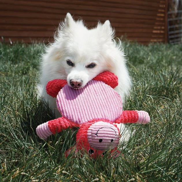 KONG Low Stuff Crackle Tummiez Raccoon Squeaky Plush Dog Toy, Large 5 KONG Low Stuff Crackle Tummiez Raccoon Squeaky Plush Dog Toy, Large - Image 3