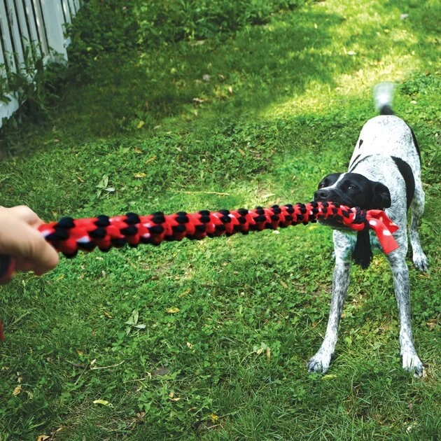 KONG Signature Dual Knot & Ball Tug Rope Dog Toy 5 KONG Signature Dual Knot & Ball Tug Rope Dog Toy - Image 3