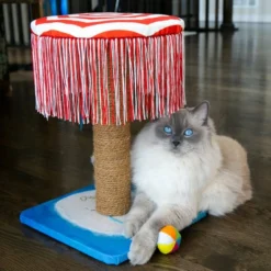 KONG Play Spaces CATbana Cat Toy 8 KONG Play Spaces CATbana Cat Toy -KONG Toys Shop 265159 PT2. SY630 V1611786680