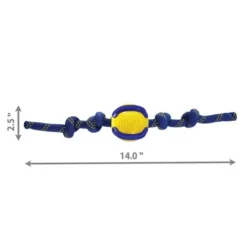 KONG Jaxx Brights Ball Rope Dog Toy -KONG Toys Shop 265784 PT1. SY630 V1611792678