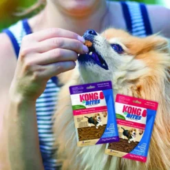 KONG Mini Bites Beef Recipe Grain-Free Dog Treats, 5-oz pouch -KONG Toys Shop 269089 PT2. SY630 V1612487885