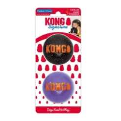 KONG Halloween Signature Squeaky Ball Dog Toy, Medium -KONG Toys Shop 277013 PT2. SY630 V1620694687