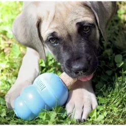 KONG Puppy Activity Ball Dog Toy, Color Varies, Small + KONG Stuff'N Puppy Ziggies Dog Treats, Small, 12 count -KONG Toys Shop 298188 PT8. SY630 V1621303337