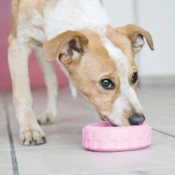 KONG||Wellness KONG Puppy Tires Dog Toy, Color Varies, Small + Wellness Soft Puppy Bites Lamb & Salmon Recipe Grain-Free Dog Treats, 3-oz pouch -KONG Toys Shop 298194 PT4. SY630 V1623202358