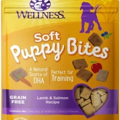KONG||Wellness KONG Puppy Tires Dog Toy, Color Varies, Small + Wellness Soft Puppy Bites Lamb & Salmon Recipe Grain-Free Dog Treats, 3-oz pouch -KONG Toys Shop 298194 PT5. SY630 V1623195141