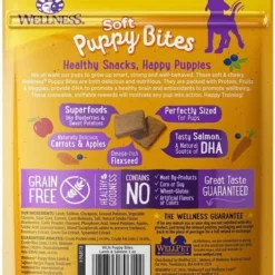 KONG||Wellness KONG Puppy Tires Dog Toy, Color Varies, Small + Wellness Soft Puppy Bites Lamb & Salmon Recipe Grain-Free Dog Treats, 3-oz pouch -KONG Toys Shop 298194 PT6. SY630 V1623193348