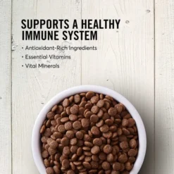 American Journey||KONG American Journey Senior Chicken & Sweet Potato Recipe Grain-Free Dry Food + KONG Senior Dog Toy, Large -KONG Toys Shop 302324 PT3. SY630 V1623049367