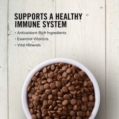 American Journey||KONG American Journey Senior Salmon & Sweet Potato Recipe Grain-Free Dry Food + KONG Senior Dog Toy, Large -KONG Toys Shop 302334 PT3. SY630 V1623078754