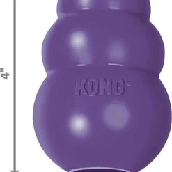 American Journey||KONG American Journey Senior Salmon & Sweet Potato Recipe Grain-Free Dry Food + KONG Senior Dog Toy, Large -KONG Toys Shop 302334 PT5. SY630 V1623085965