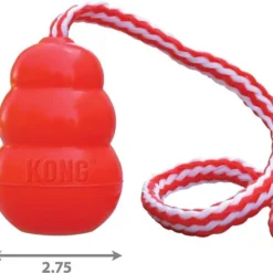 Frisco||KONG Frisco Shark Life Jacket + KONG Aqua Dog Toy, Medium -KONG Toys Shop 303588 PT6. SY630 V1623083564