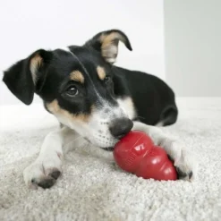 KONG Classic Toy + Calming Chews Medium & Large Dog Supplement -KONG Toys Shop 303678 PT4. SY630 V1623056241