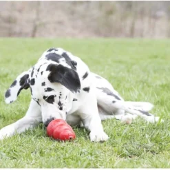 KONG Stuff'N Real Peanut Butter Dog Treat -KONG Toys Shop 337388 PT5. SY630 V1635374477