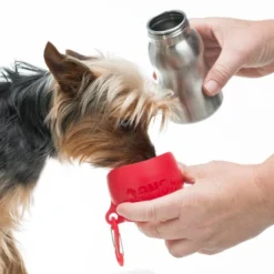 KONG H2O Dog Stainless Steel Bottle -KONG Toys Shop 364070 PT2. SY630 V1643837546