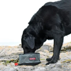 KONG Fold-Up Dog Bowl, Red & Black, Small -KONG Toys Shop 364073 PT2. SY630 V1643837511