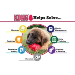 KONG Classic Dog Toy 12 KONG Classic Dog Toy -KONG Toys Shop 53350 PT3. SY630 V1603163183