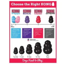 KONG Extreme Dog Toy -KONG Toys Shop 53358 PT4. SY630 V1603158992