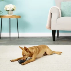 KONG Extreme Dog Toy -KONG Toys Shop 53358 PT5. SY630 V1603161687