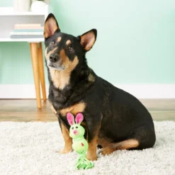 KONG Wubba Ballistic Friend, Color Varies -KONG Toys Shop 53431 PT5. SY630 V1531421848