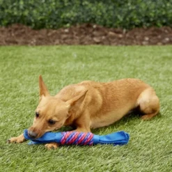 KONG Tugga Wubba Dog Toy, Color Varies 11 KONG Tugga Wubba Dog Toy, Color Varies -KONG Toys Shop 53460 PT3. SY630 V1544221333