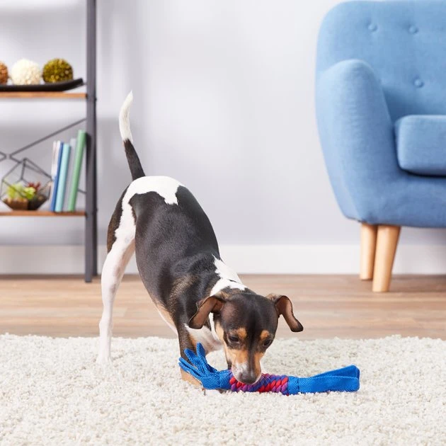 KONG Tugga Wubba Dog Toy, Color Varies 7 KONG Tugga Wubba Dog Toy, Color Varies - Image 5