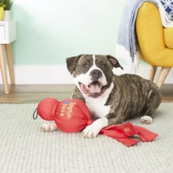 KONG Mega Wubba Dog Toy, Color Varies 11 KONG Mega Wubba Dog Toy, Color Varies -KONG Toys Shop 53475 PT4. SY630 V1605339710