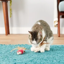 KONG Crinkle Fish Cat Toy, Color Varies 11 KONG Crinkle Fish Cat Toy, Color Varies -KONG Toys Shop 53514 PT4. SY630 V1603150886