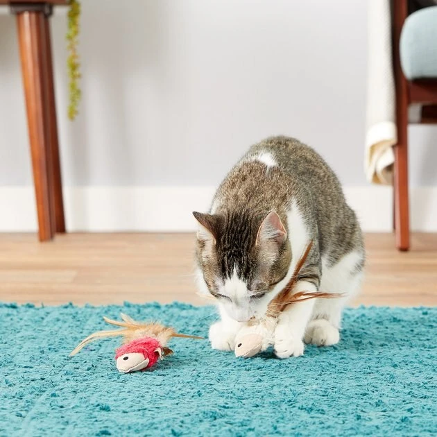 KONG Crinkle Fish Cat Toy, Color Varies 7 KONG Crinkle Fish Cat Toy, Color Varies - Image 5