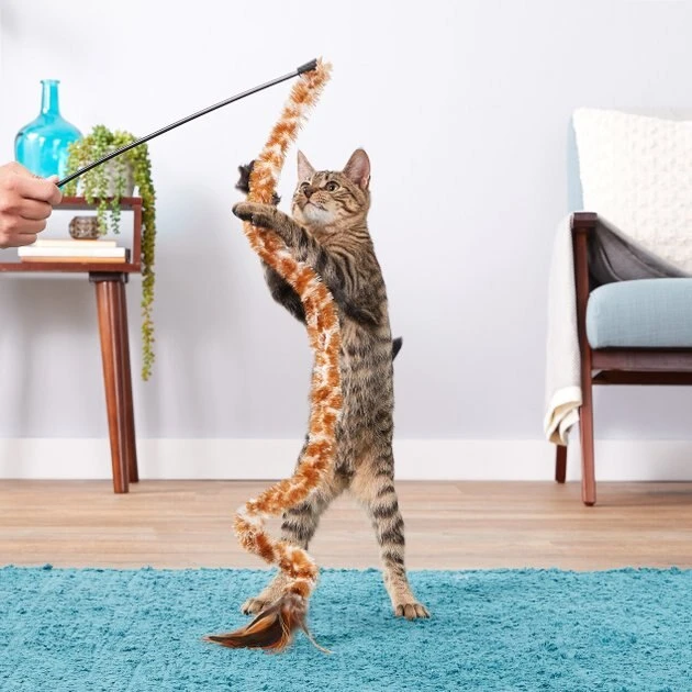 KONG Swizzle Bird Cat Teaser, Color Varies 7 KONG Swizzle Bird Cat Teaser, Color Varies - Image 5