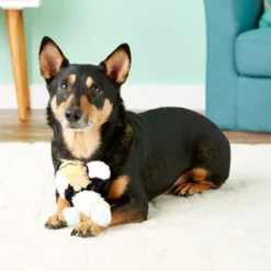 KONG Wild Knots Eagle Dog Toy -KONG Toys Shop 58042 PT5. SY630 V1603145492