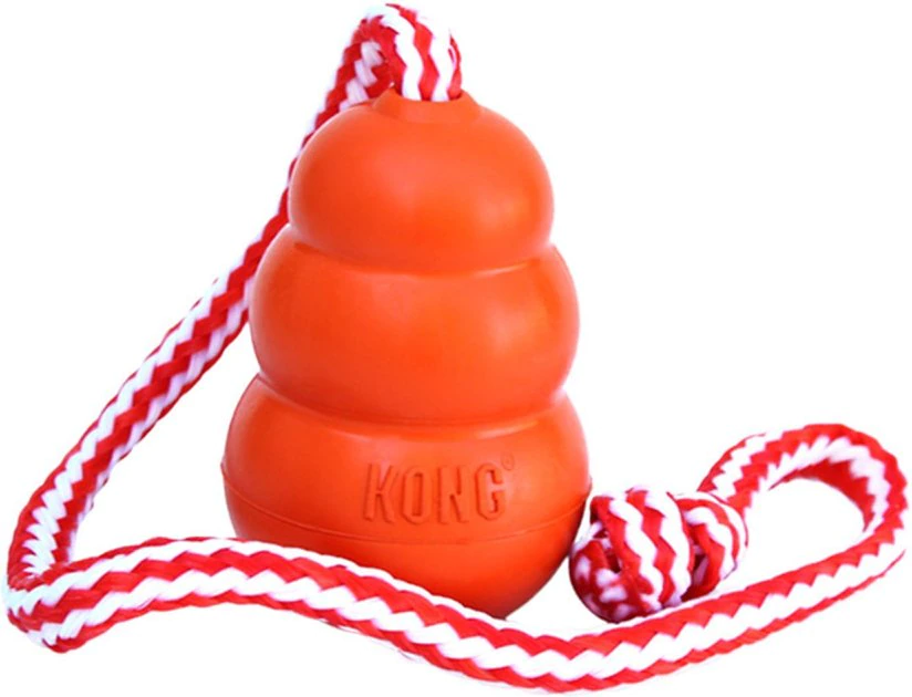 KONG Aqua Dog Toy 3 KONG Aqua Dog Toy