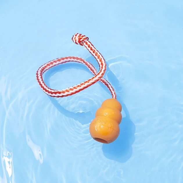 KONG Aqua Dog Toy 7 KONG Aqua Dog Toy - Image 5