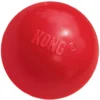 KONG Ball Dog Toy 1 KONG Ball Dog Toy -KONG Toys Shop 59154 MAIN. SY630 V1518033658